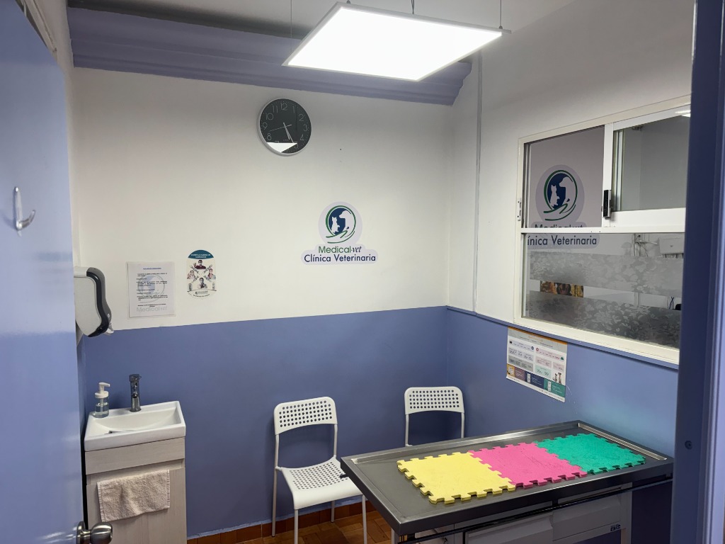 Consultorios médicos en Medical Vet 2.0